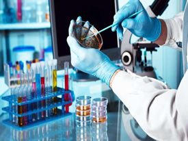 Laboratuvar Hizmetleri